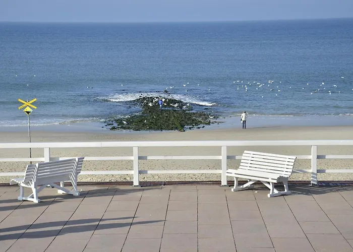 Elaine, App 24 Westerland